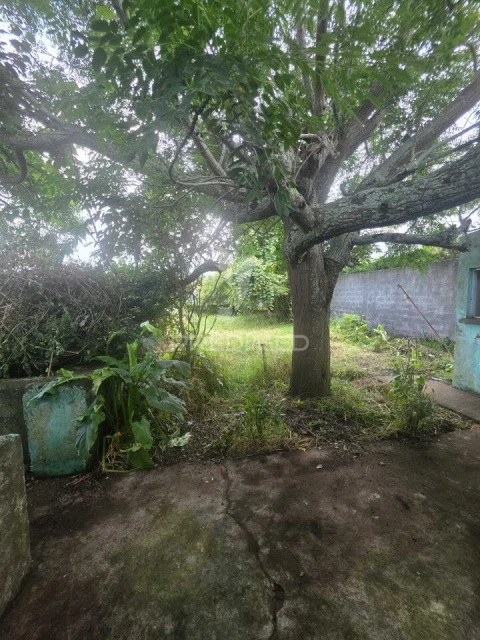 Moradia T3 para Venda em Lajes