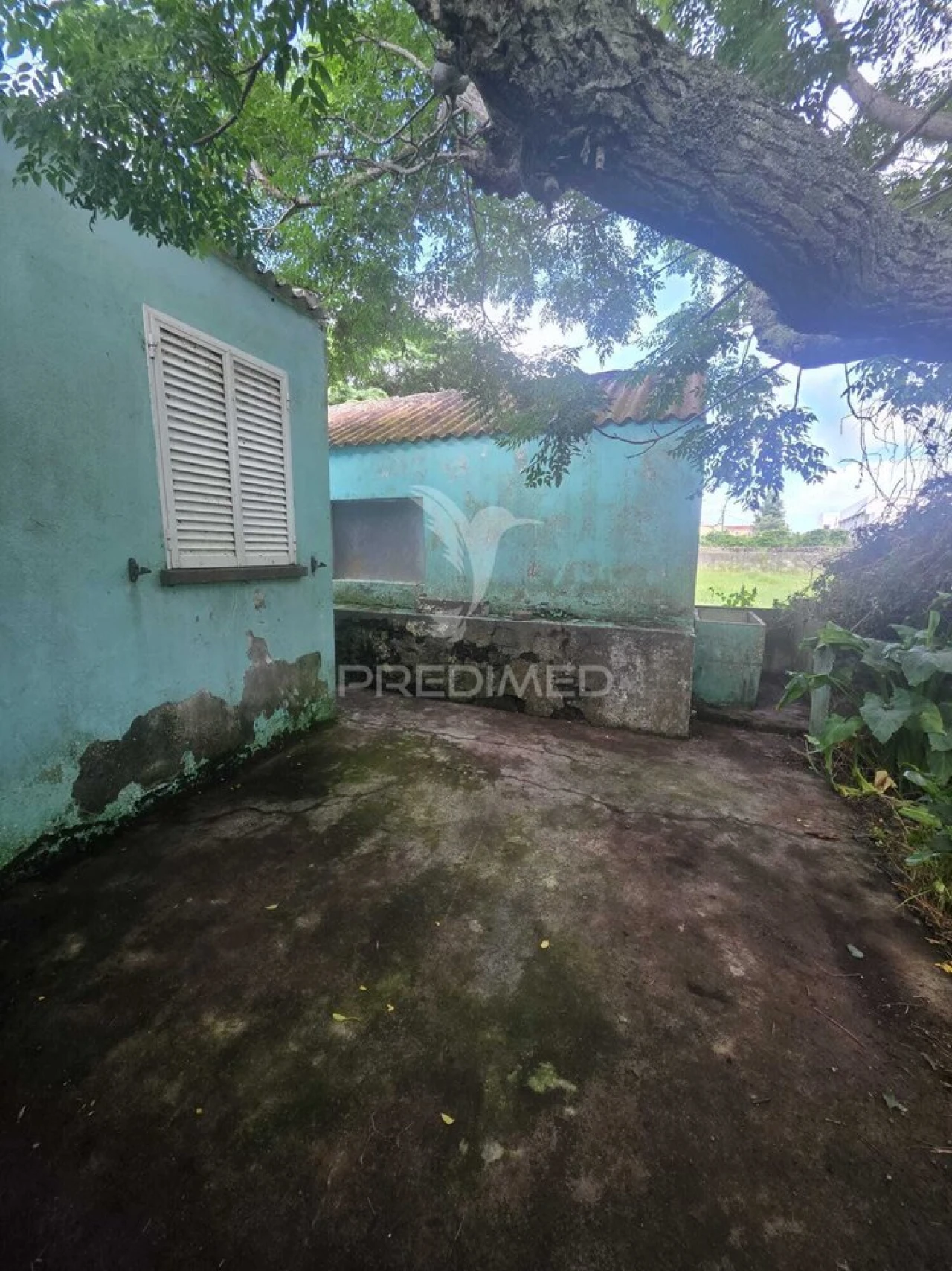 Moradia T3 para Venda em Lajes Foto 23