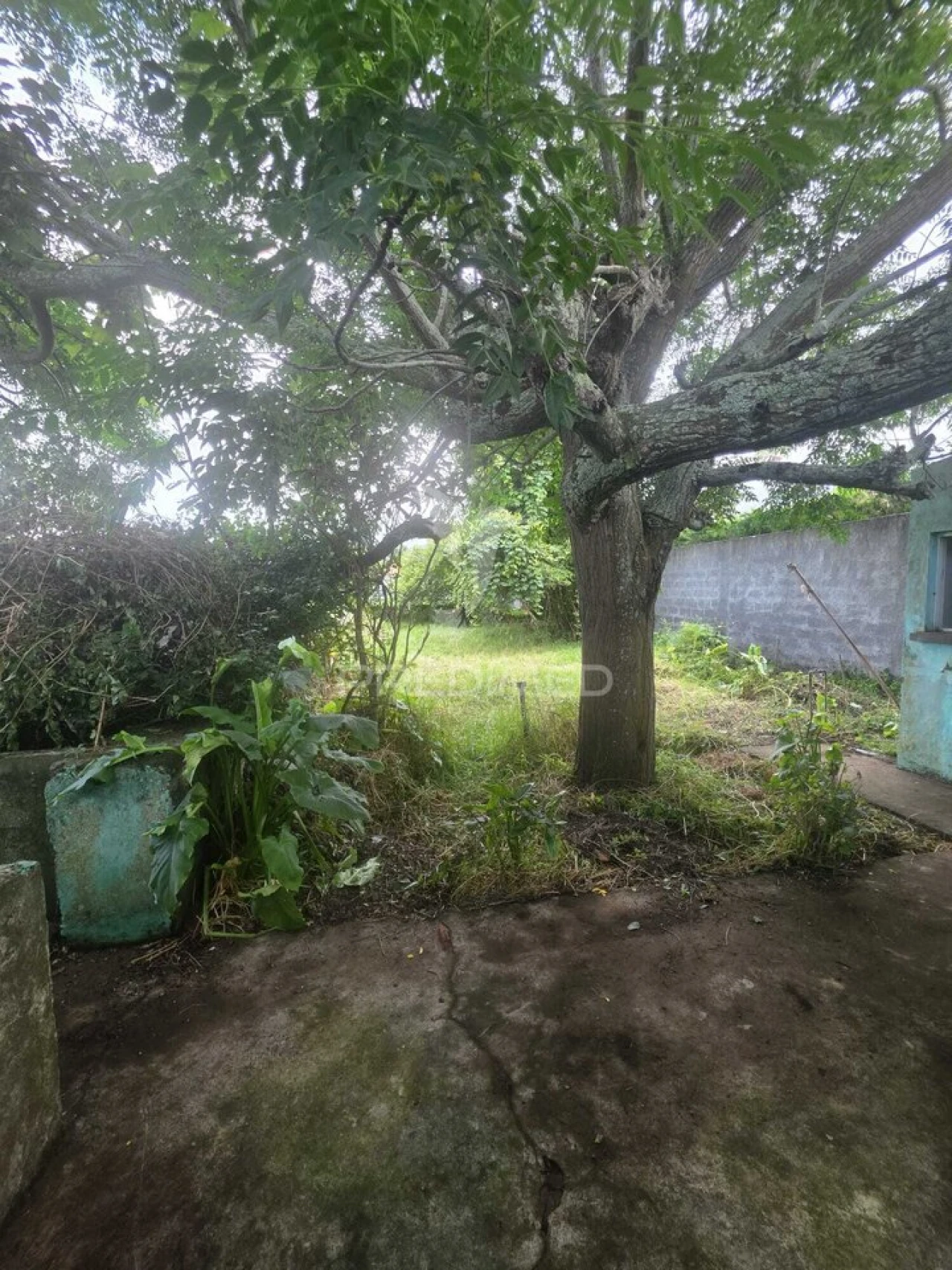 Moradia T3 para Venda em Lajes Foto 29