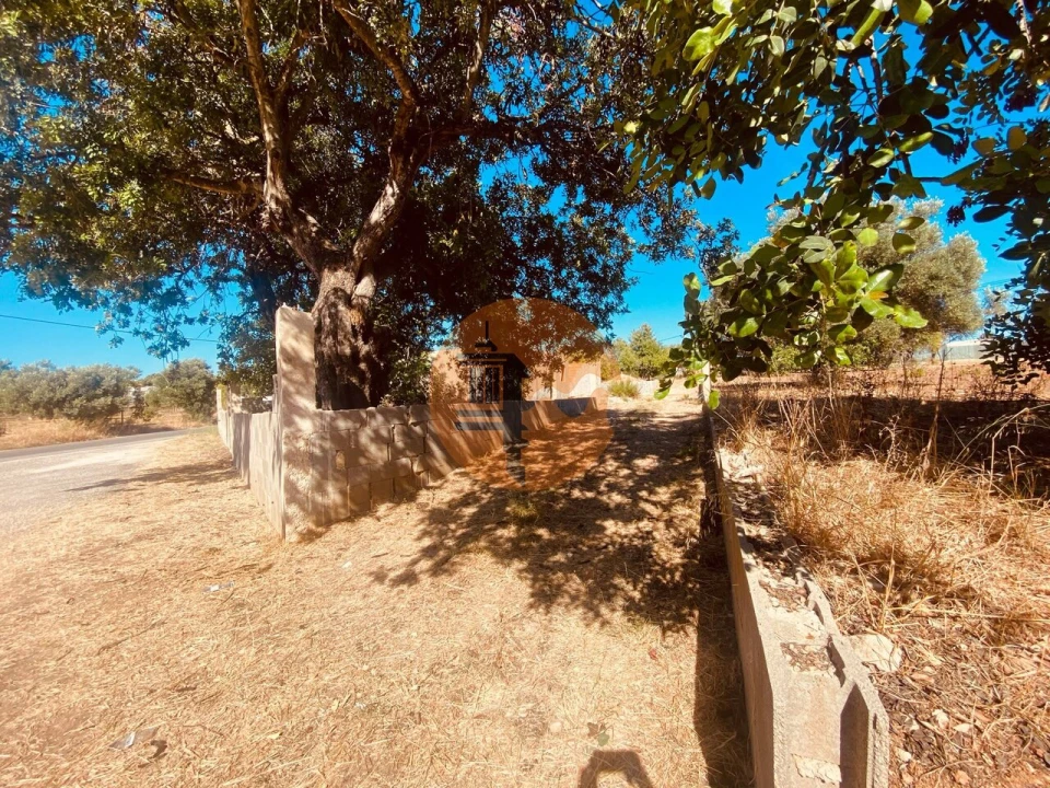 Moradia T3 para Venda em Pechão Foto 27