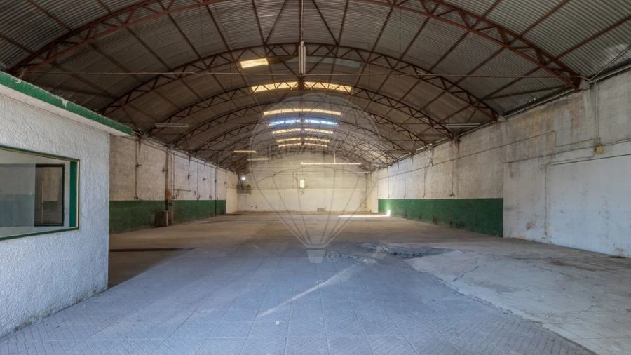 Armazém para Venda em Eiras e São Paulo de Frades