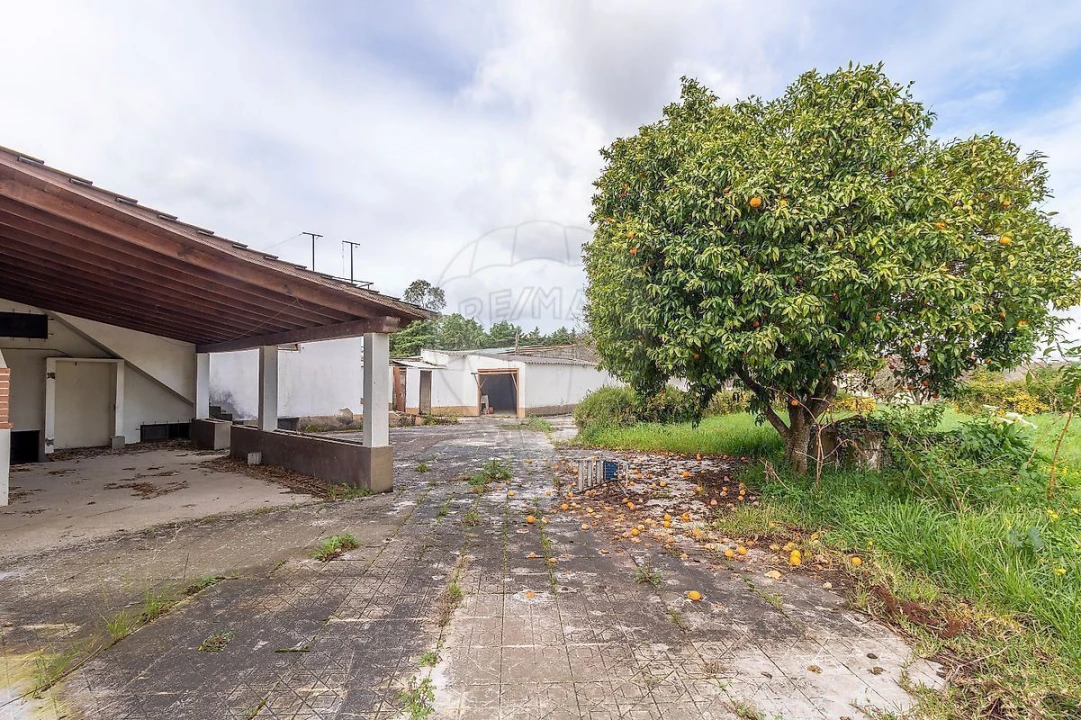 Moradia T3 para Venda em Cernache Foto 7