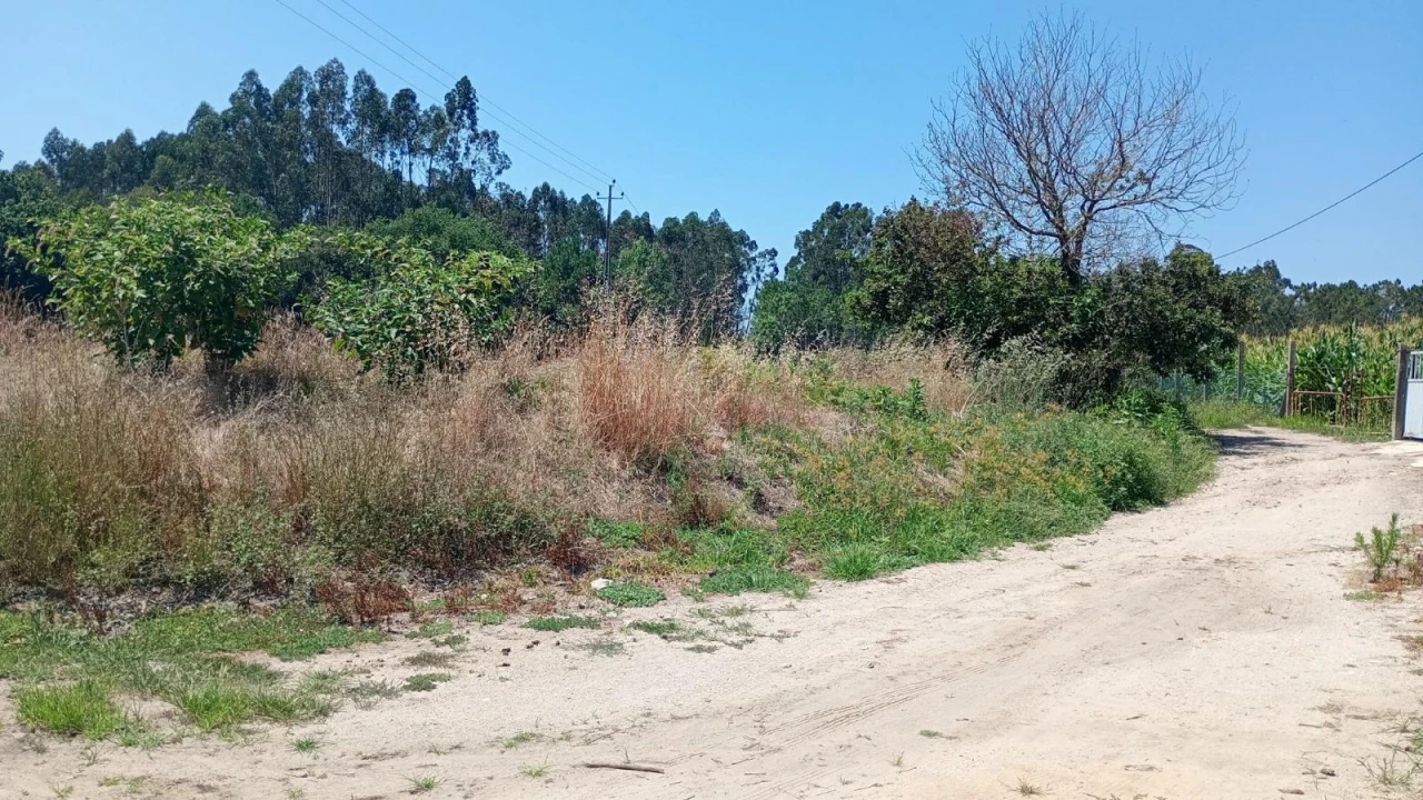 Terreno Agricola ou Rústico para Venda em Valega Foto 6