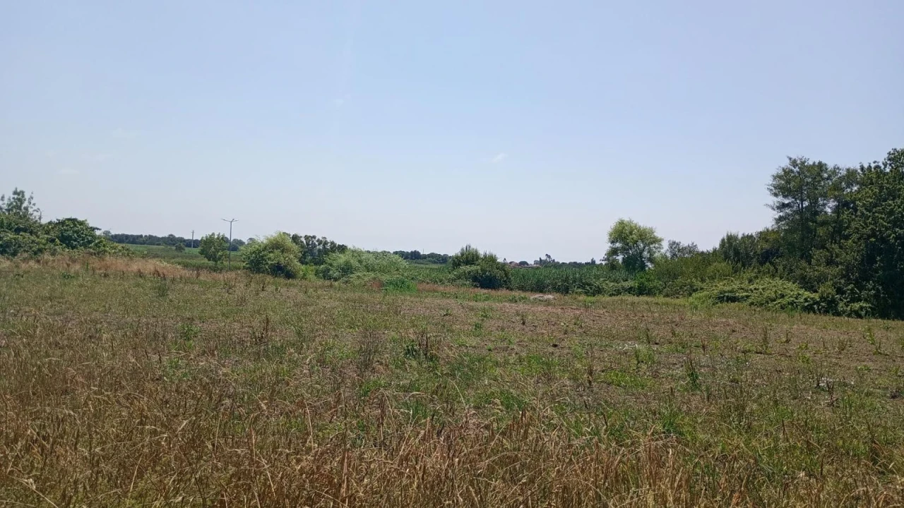 Terreno Agricola ou Rústico para Venda em Valega Foto 8
