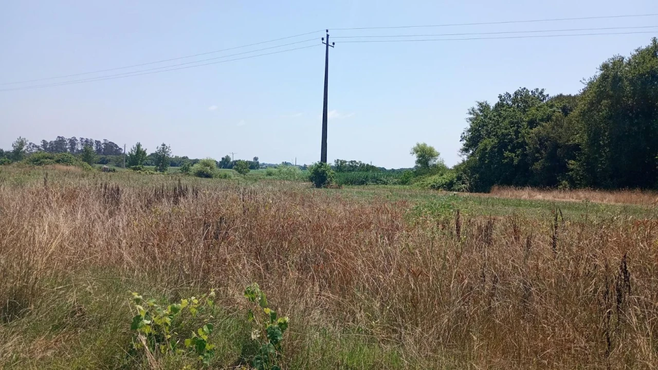 Terreno Agricola ou Rústico para Venda em Valega Foto 9