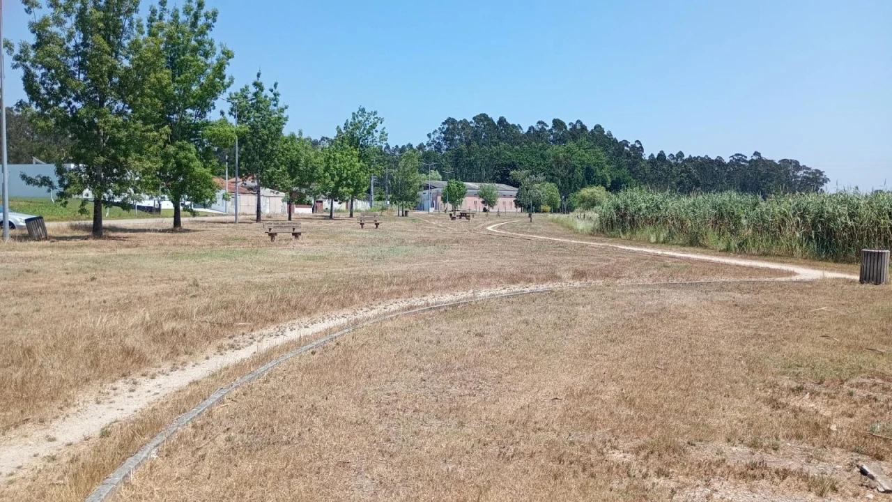 Terreno Agricola ou Rústico para Venda em Valega Foto 11