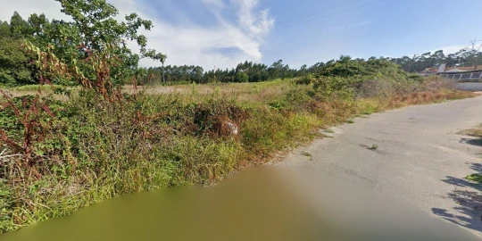 Terreno Agricola ou Rústico para Venda em Valega