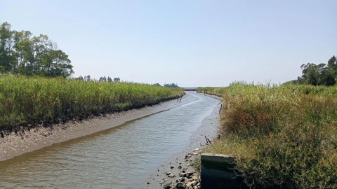 Terreno Agricola ou Rústico para Venda em Valega