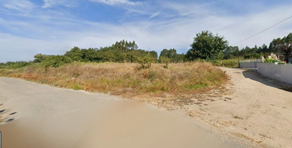 Terreno Agricola ou Rústico para Venda em Valega Foto 4