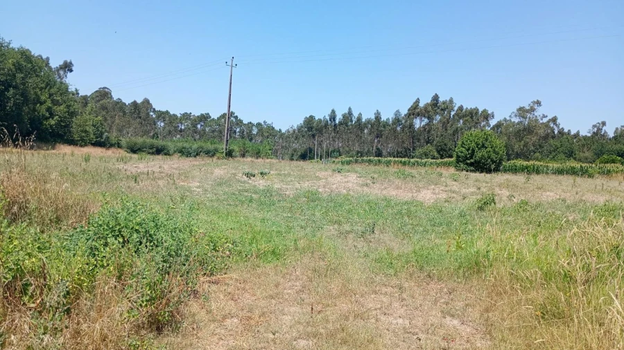 Terreno Agricola ou Rústico para Venda em Valega Foto 5