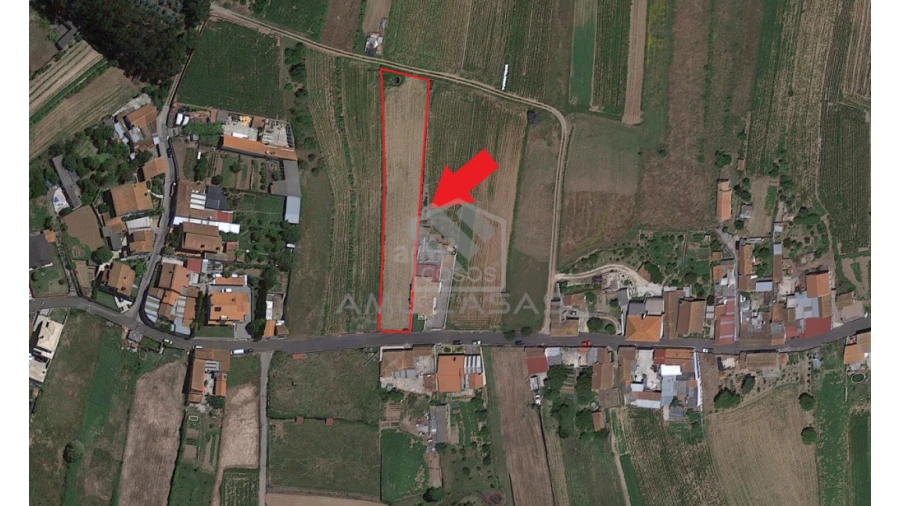 Terreno para Venda em Salreu Foto 6