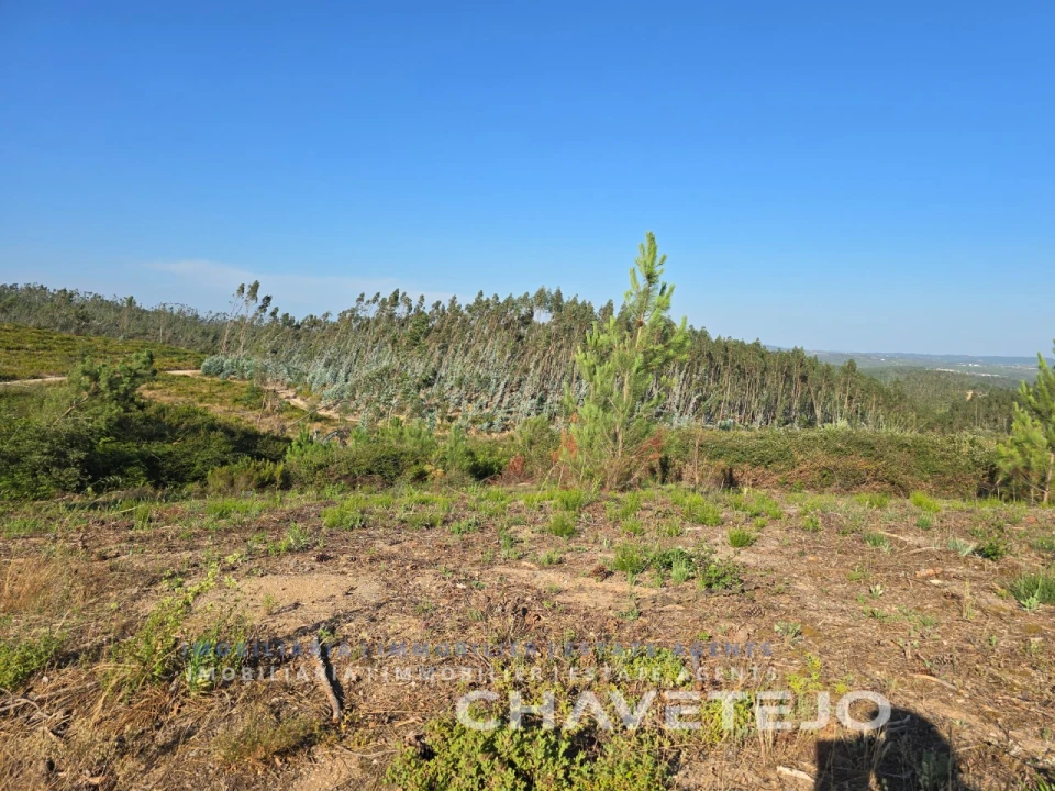 Terreno para Venda em Sabacheira Foto 11