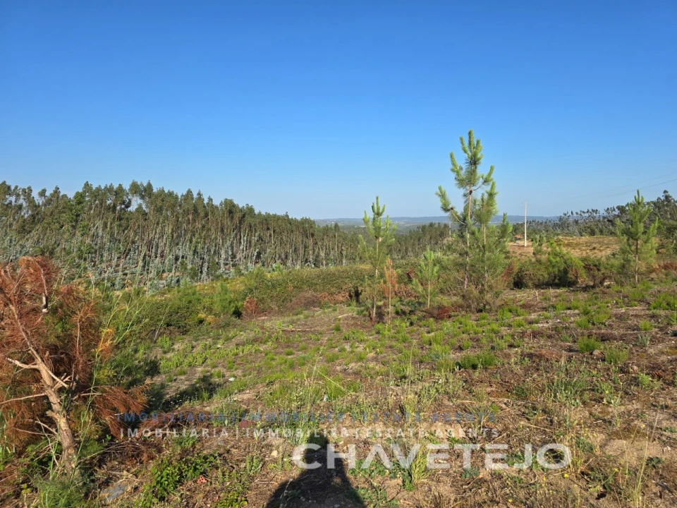 Terreno para Venda em Sabacheira Foto 5