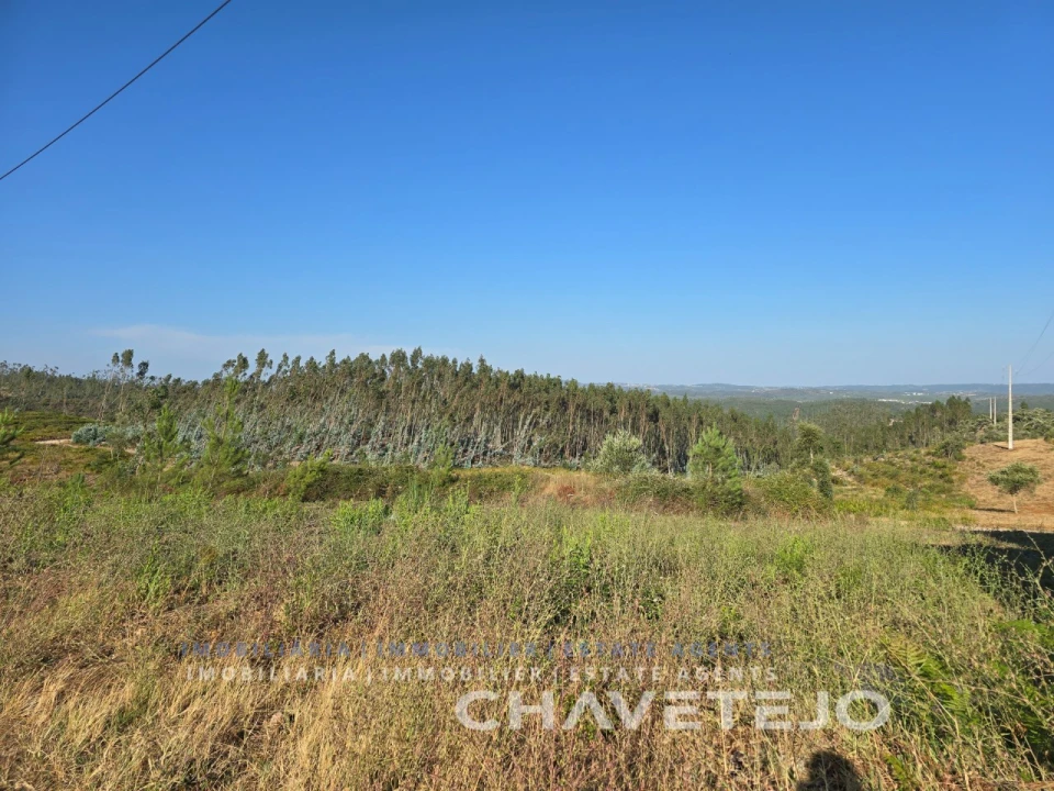Terreno para Venda em Sabacheira Foto 8