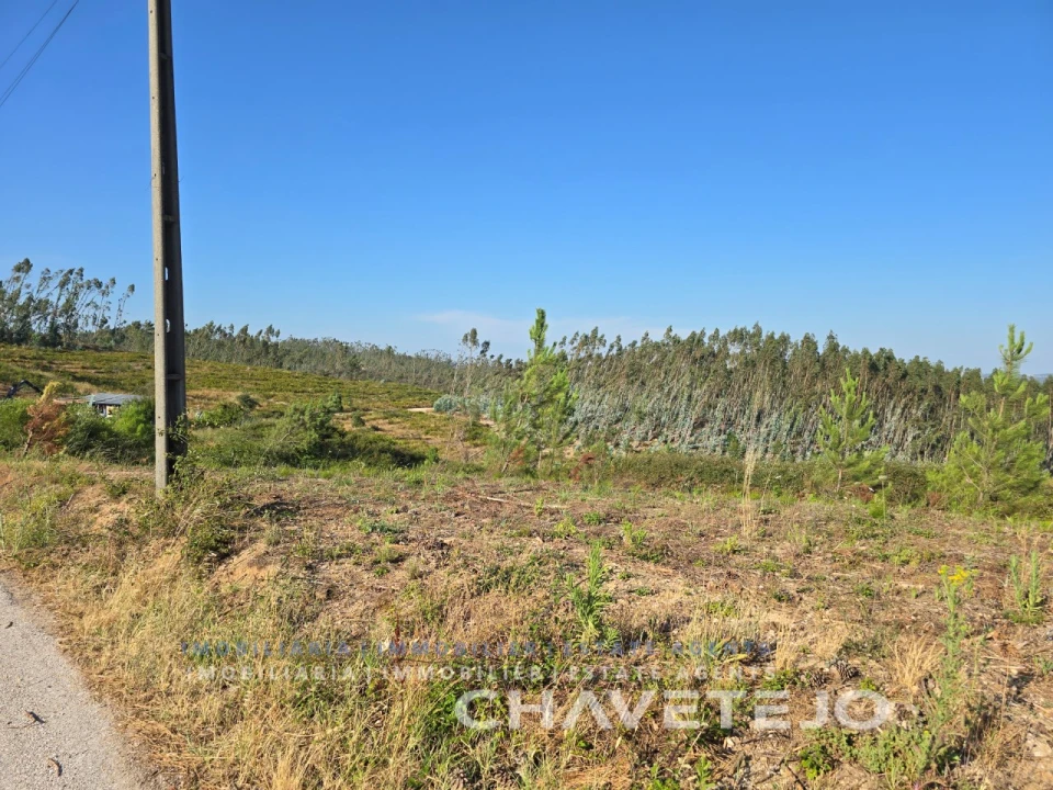 Terreno para Venda em Sabacheira Foto 12