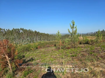 Terreno para Venda em Sabacheira