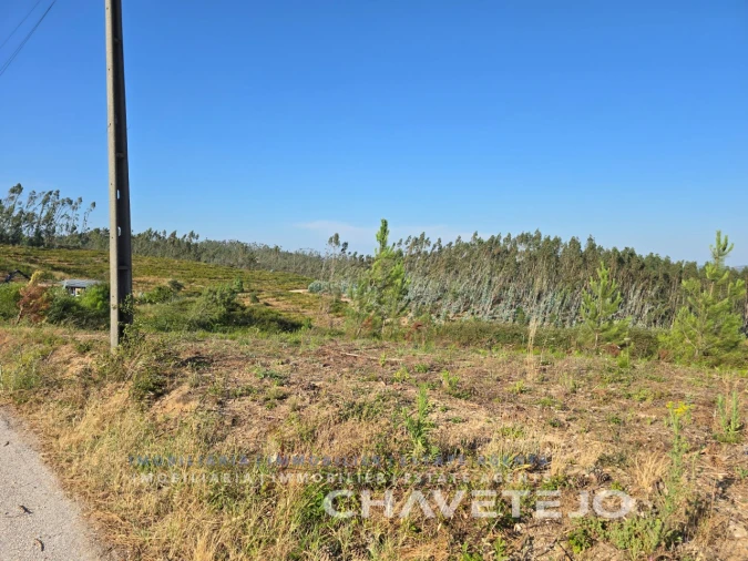 Terreno para Venda em Sabacheira Foto 12