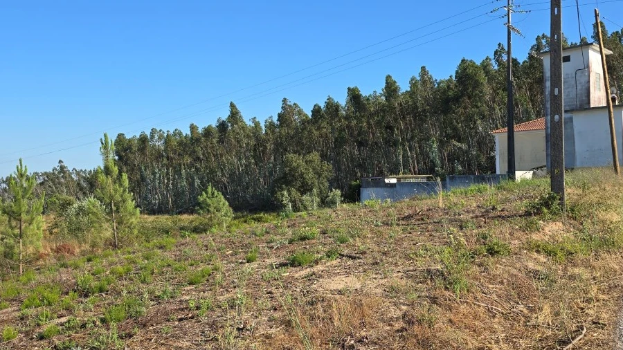 Terreno para Venda em Sabacheira