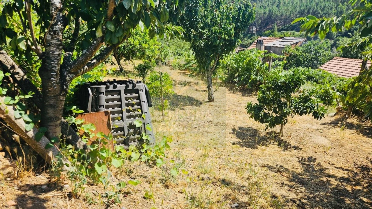 Moradia T3 para Venda em Sobreira Formosa e Alvito da Beira Foto 28