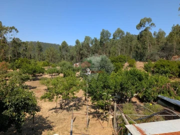 Moradia T4 para Venda em Cernache do Bonjardim, Nesperal e Palhais