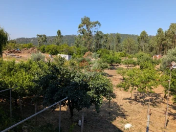 Moradia T4 para Venda em Cernache do Bonjardim, Nesperal e Palhais