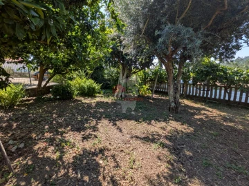 Moradia T4 para Venda em Cernache do Bonjardim, Nesperal e Palhais