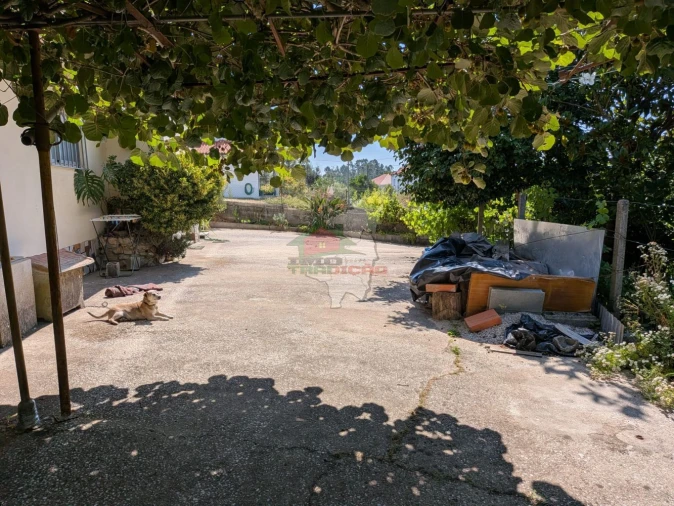 Moradia T4 para Venda em Cernache do Bonjardim, Nesperal e Palhais Foto 5
