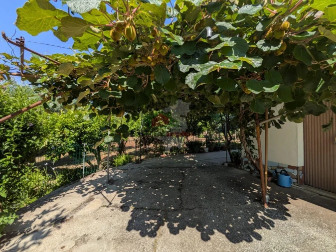 Moradia T4 para Venda em Cernache do Bonjardim, Nesperal e Palhais Foto 8