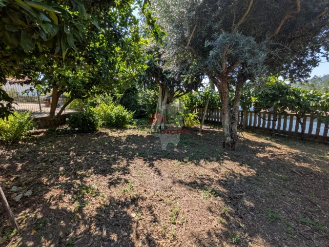 Moradia T4 para Venda em Cernache do Bonjardim, Nesperal e Palhais Foto 4