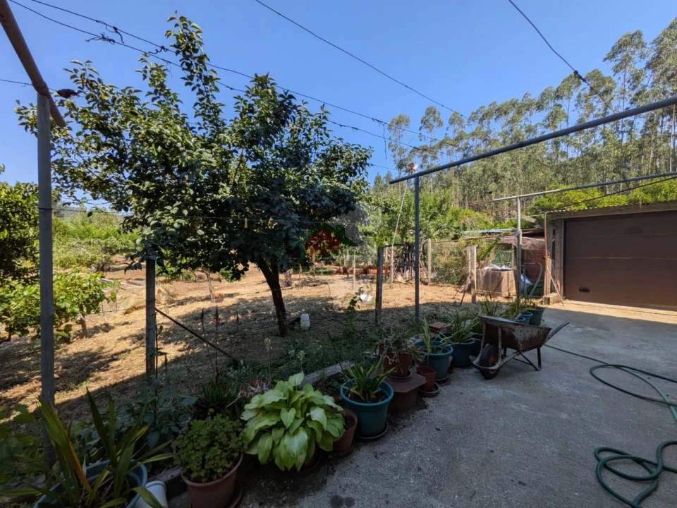 Moradia T4 para Venda em Cernache do Bonjardim, Nesperal e Palhais Foto 6