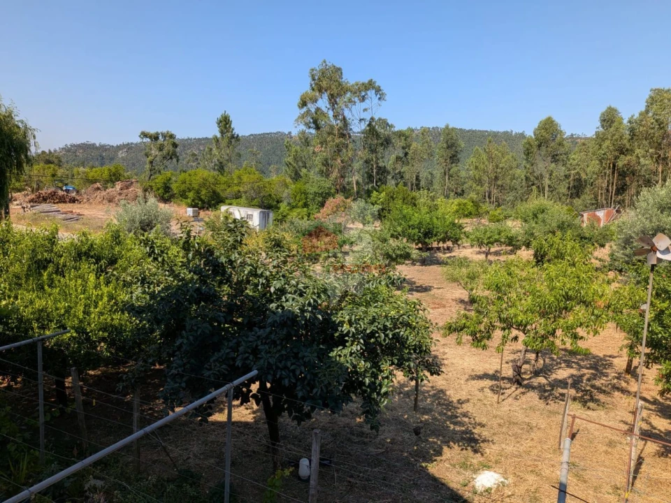 Moradia T4 para Venda em Cernache do Bonjardim, Nesperal e Palhais Foto 38