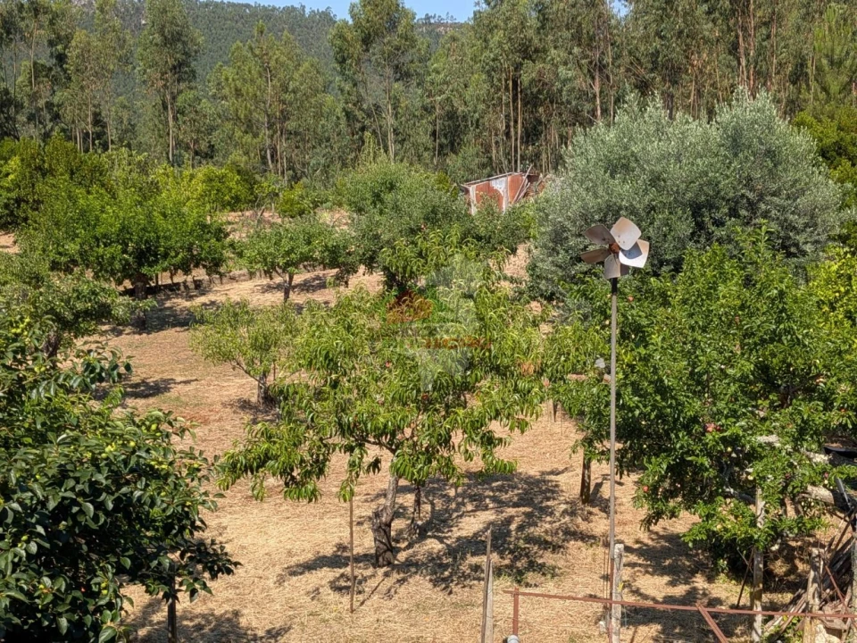 Moradia T4 para Venda em Cernache do Bonjardim, Nesperal e Palhais Foto 31