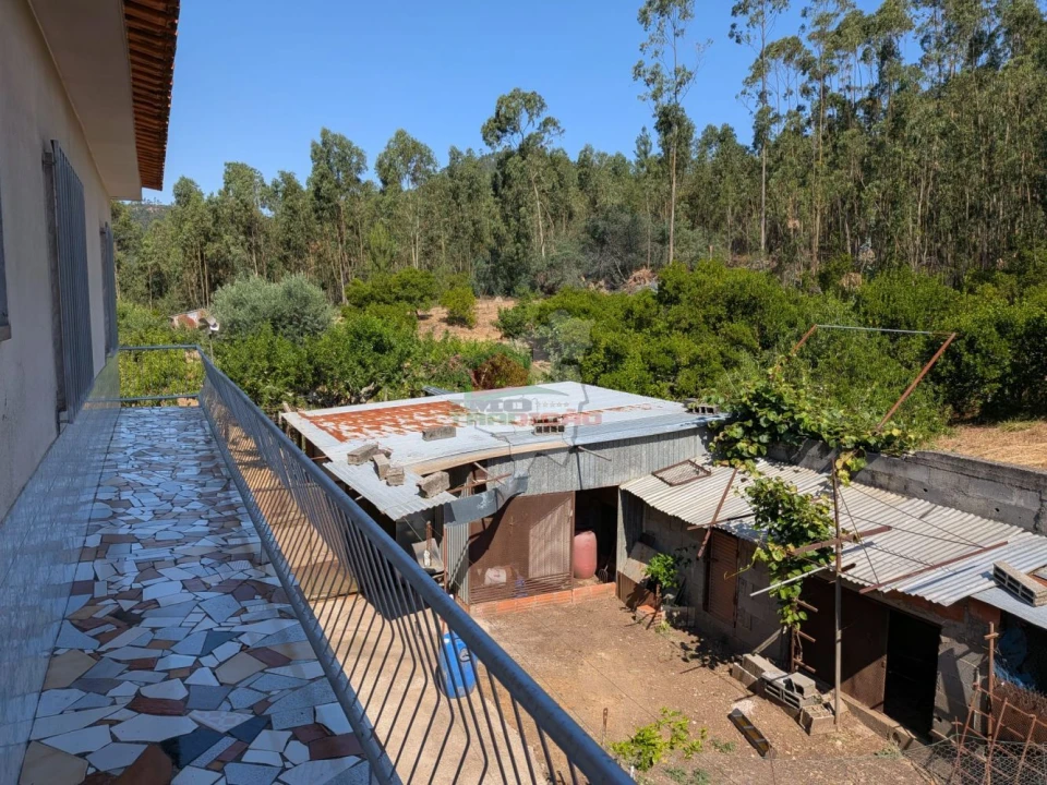 Moradia T4 para Venda em Cernache do Bonjardim, Nesperal e Palhais Foto 30