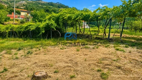 Moradia T6 para Venda em São Martinho de Mouros
