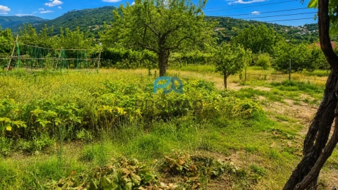 Moradia T6 para Venda em São Martinho de Mouros