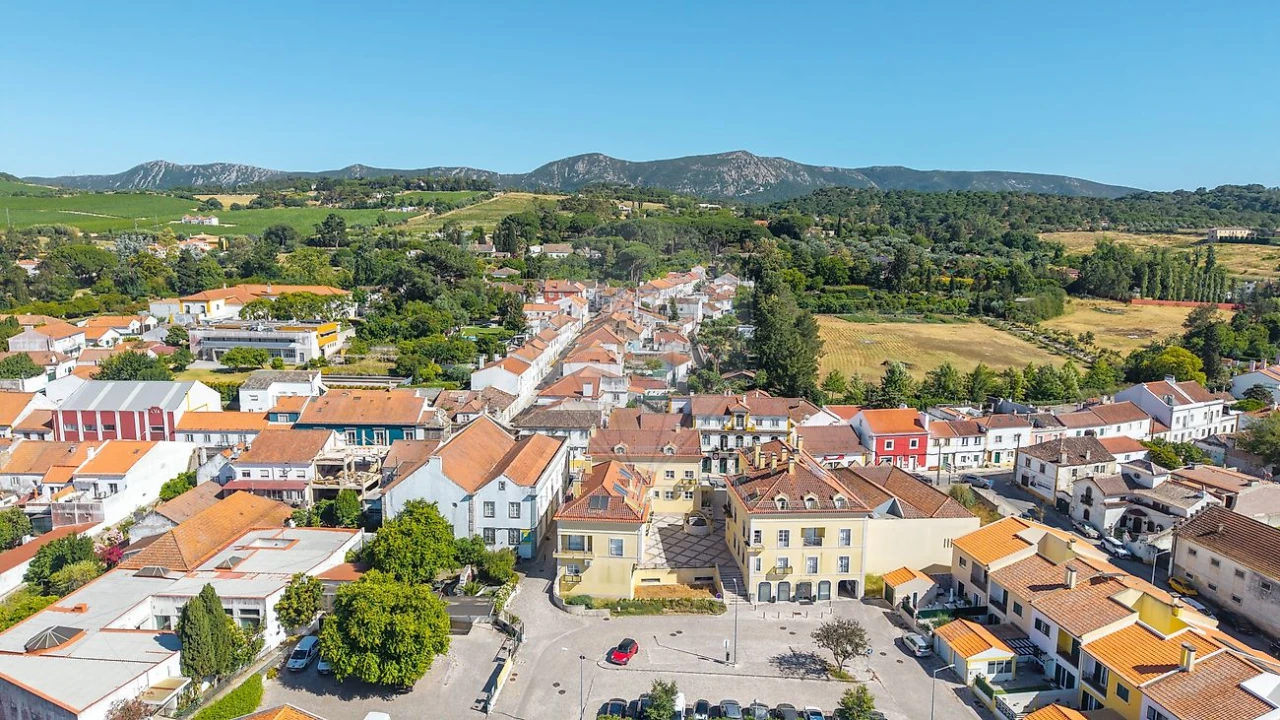 Loja para Venda em Azeitão (São Lourenço e São Simão) Foto 6