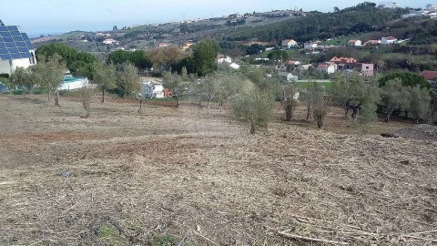 Terreno para Venda em Vila Franca de Xira