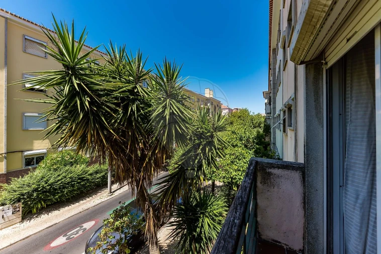 Apartamento T4 para Venda em Alvalade Foto 32