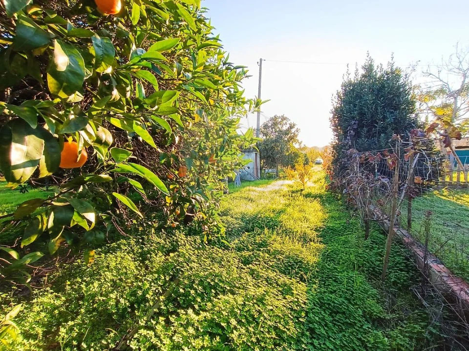 Terreno para Venda em Pontevel Foto 5
