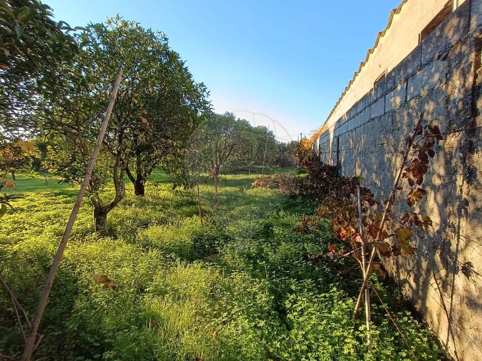 Terreno para Venda em Pontevel Foto 12