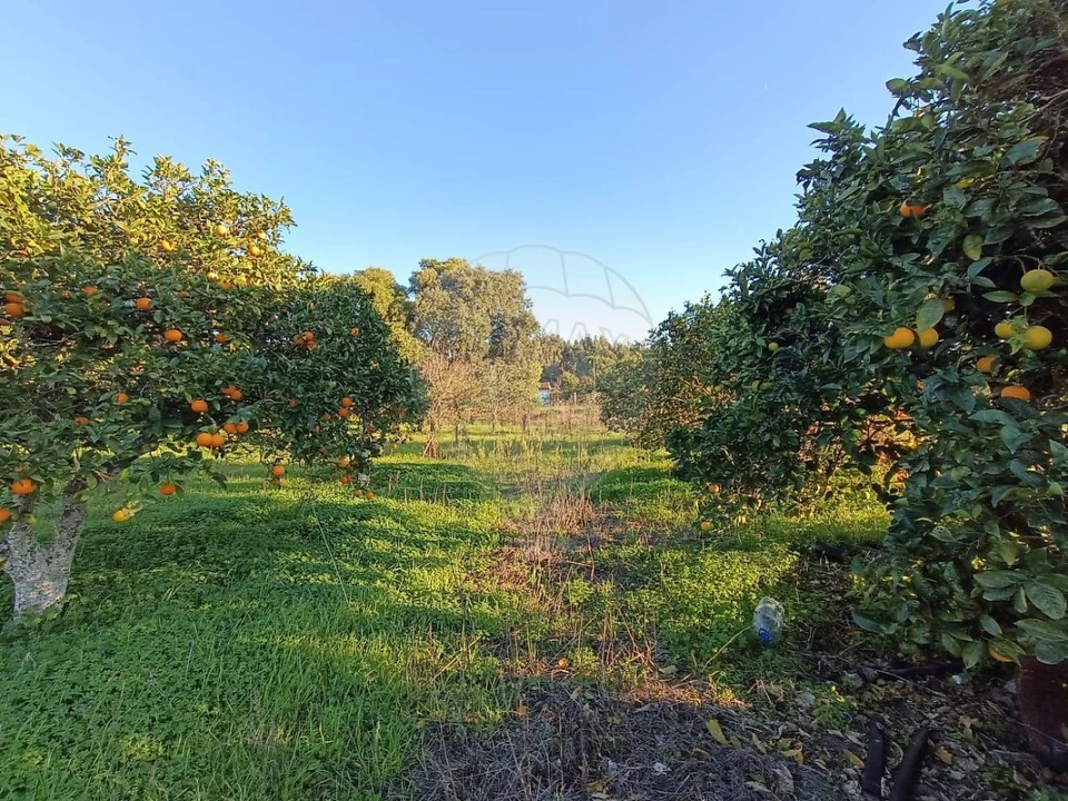Terreno para Venda em Pontevel Foto 3