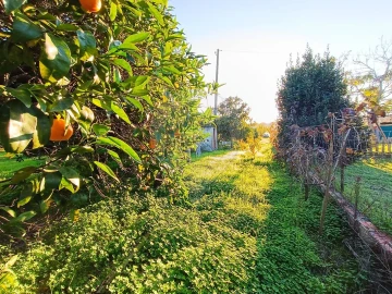 Terreno para Venda em Pontevel