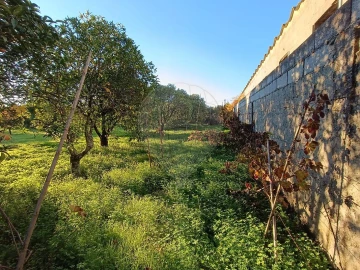 Terreno para Venda em Pontevel