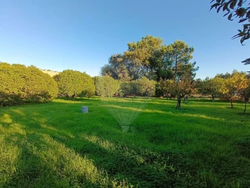 Terreno para Venda em Pontevel