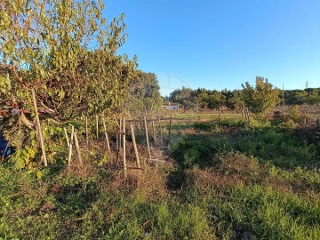 Terreno para Venda em Pontevel