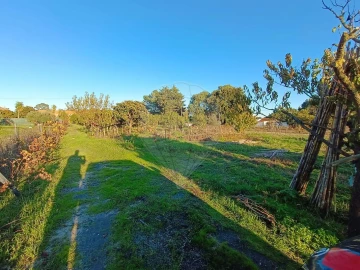 Terreno para Venda em Pontevel