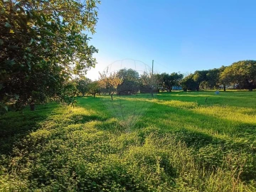 Terreno para Venda em Pontevel
