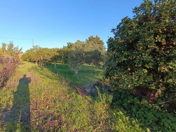 Terreno para Venda em Pontevel