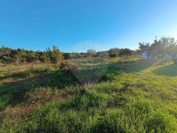 Terreno para Venda em Pontevel