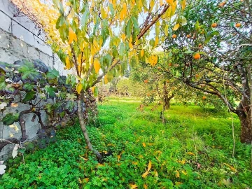 Terreno para Venda em Pontevel